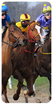 Lâ€™attribut alt de cette image est vide, son nom de fichier est top-course-jockey-paris-hippiques-jeux-003.jpg.