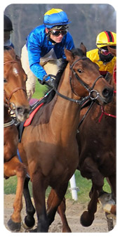 Lâ€™attribut alt de cette image est vide, son nom de fichier est top-course-jockey-paris-hippiques-jeux-004.jpg.