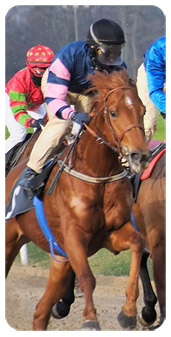 LÃƒÂƒÃ‚Â¢ÃƒÂ‚Ã‚Â€ÃƒÂ‚Ã‚Â™attribut alt de cette image est vide, son nom de fichier est top-course-jockey-paris-hippiques-jeux-005.jpg.